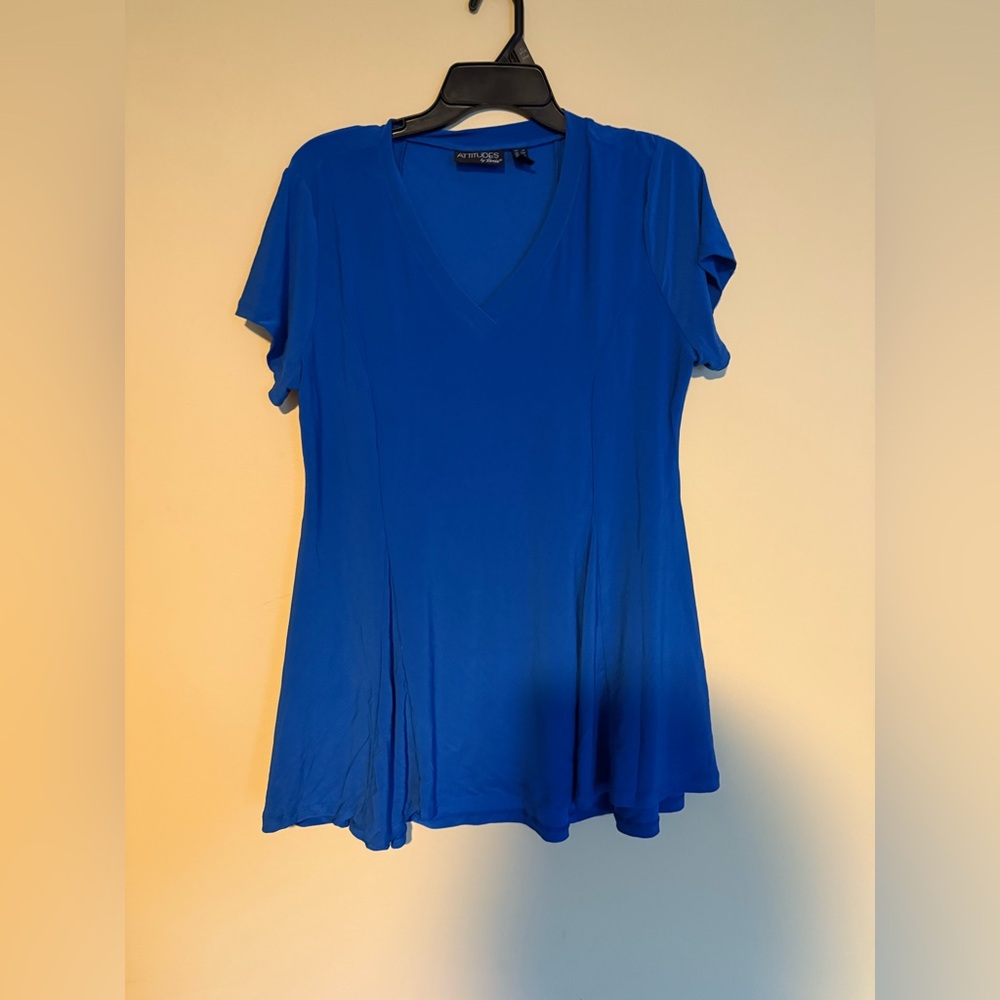 attitudes by renee blouse